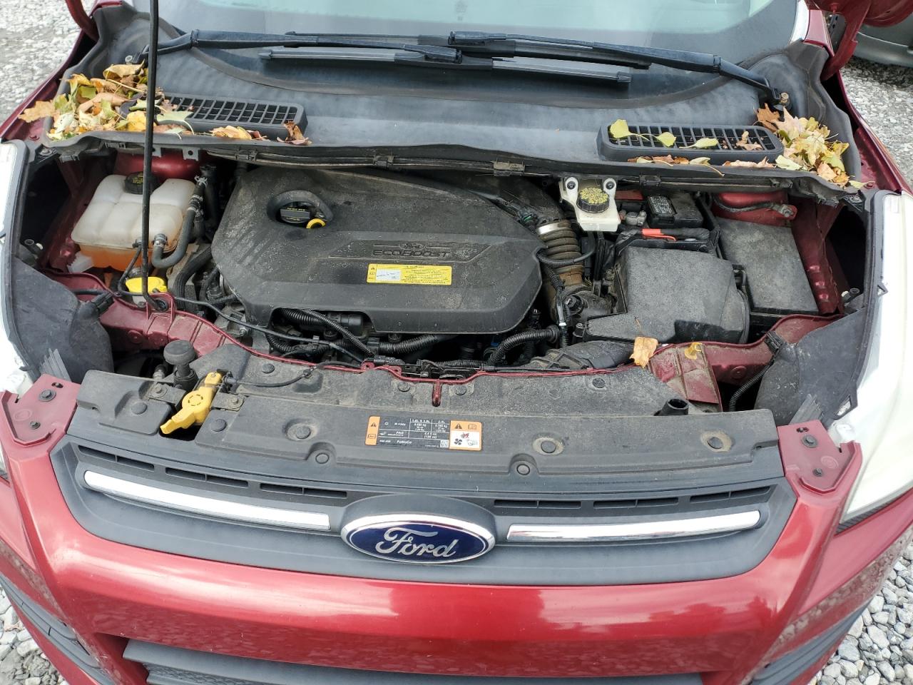 2014 Ford Escape Se VIN: 1FMCU9GX5EUB54028 Lot: 92363475