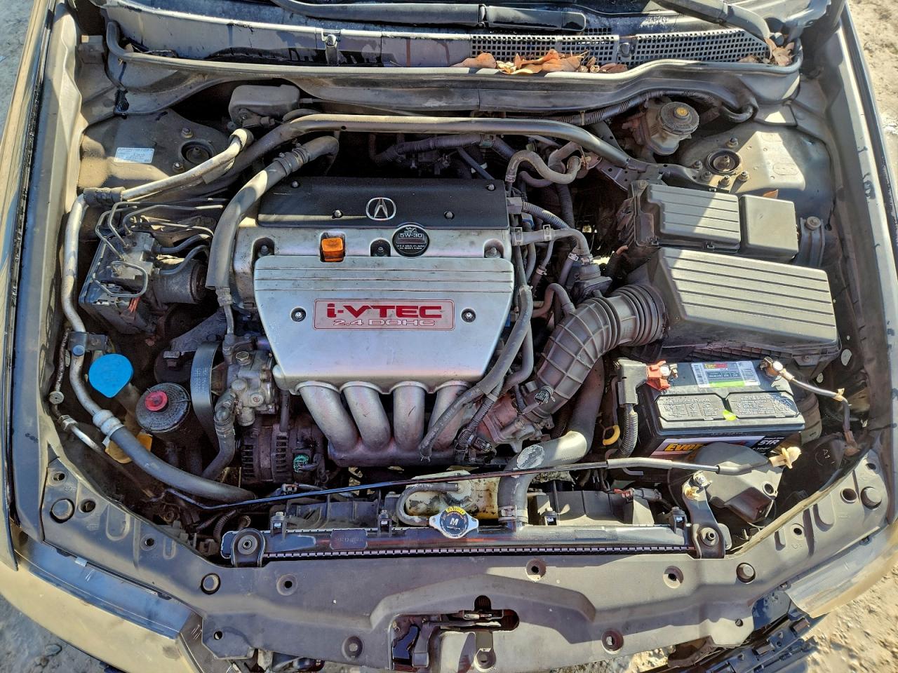 2004 Acura Tsx VIN: JH4CL96884C018044 Lot: 93927415