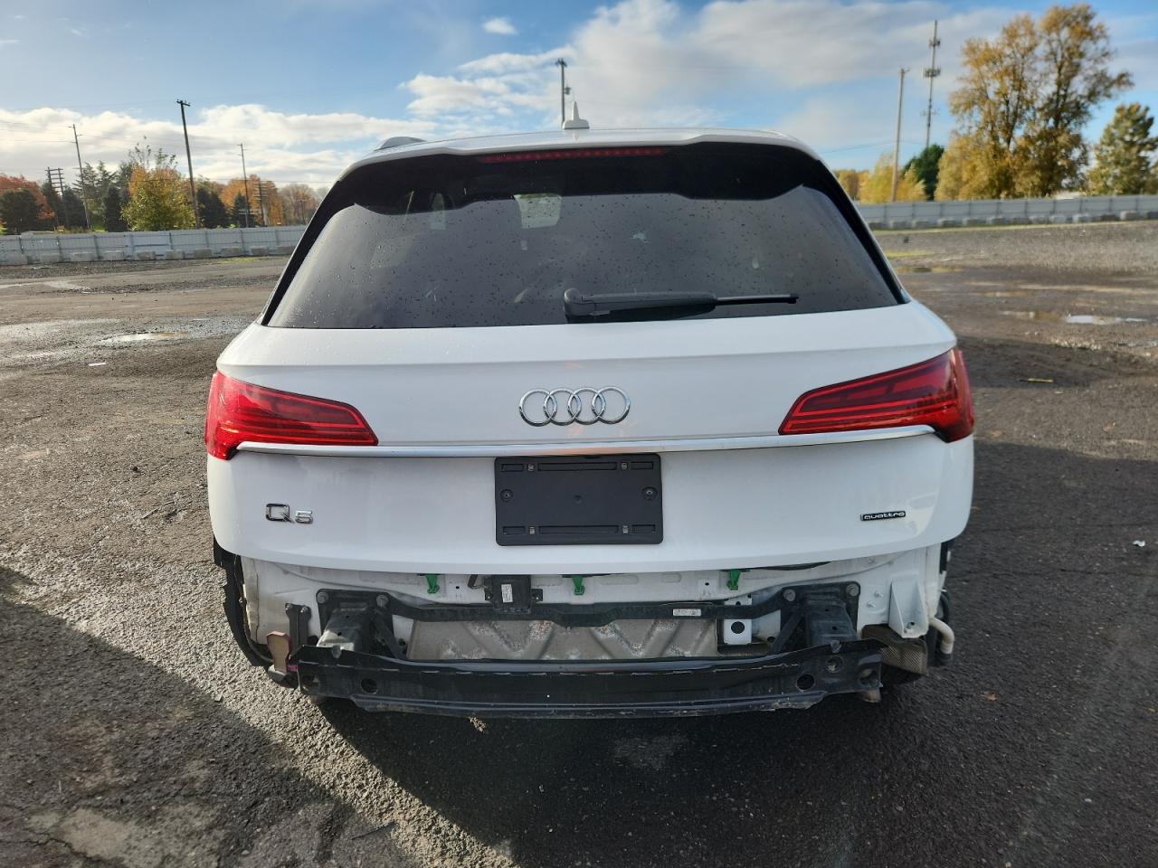2022 Audi Q5 Premium Plus 45 VIN: WA1EAAFY0N2080282 Lot: 91966825