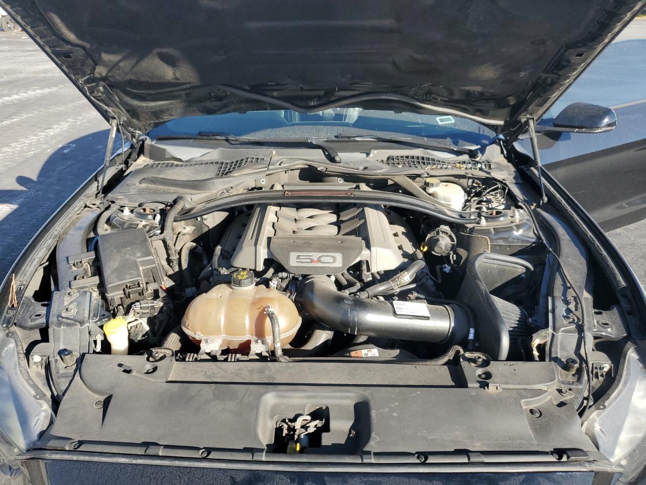 2015 Ford Mustang Gt VIN: 1FA6P8CF9F5302036 Lot: 92291435