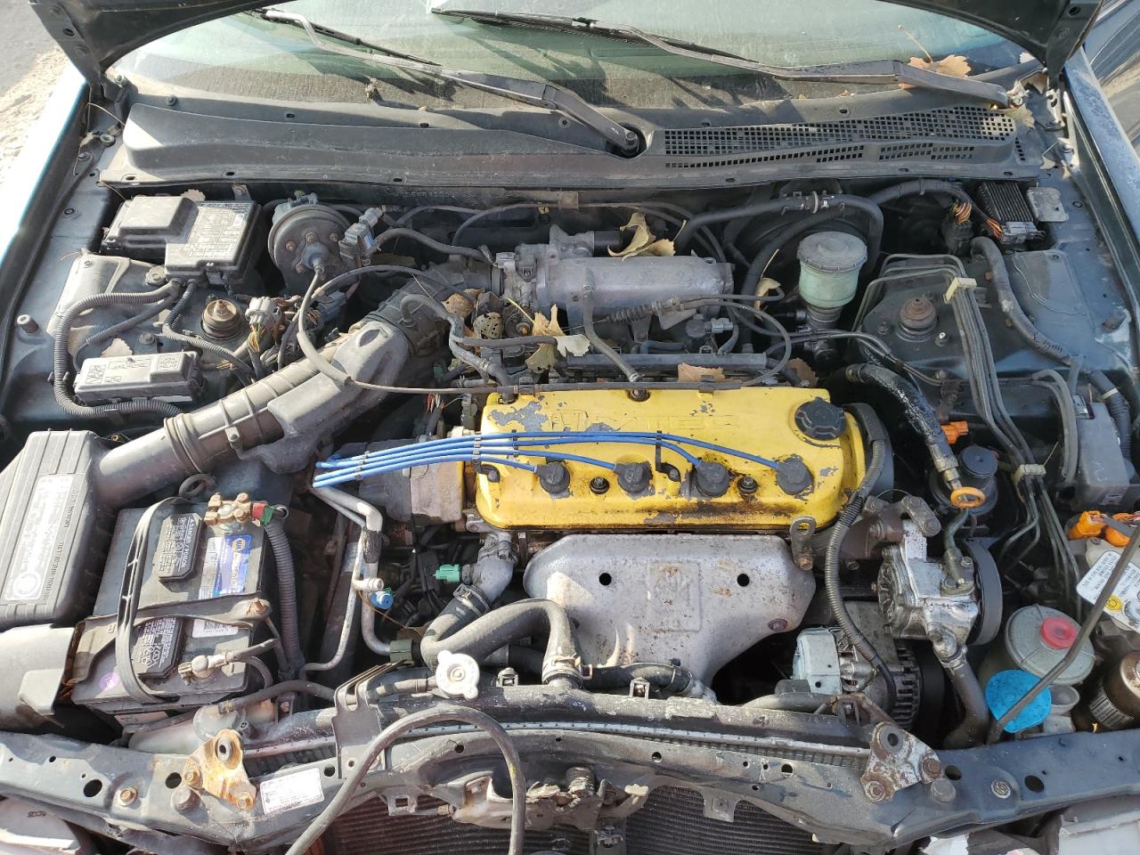 1995 Honda Accord Ex VIN: JHMCD5659SC051336 Lot: 93509765