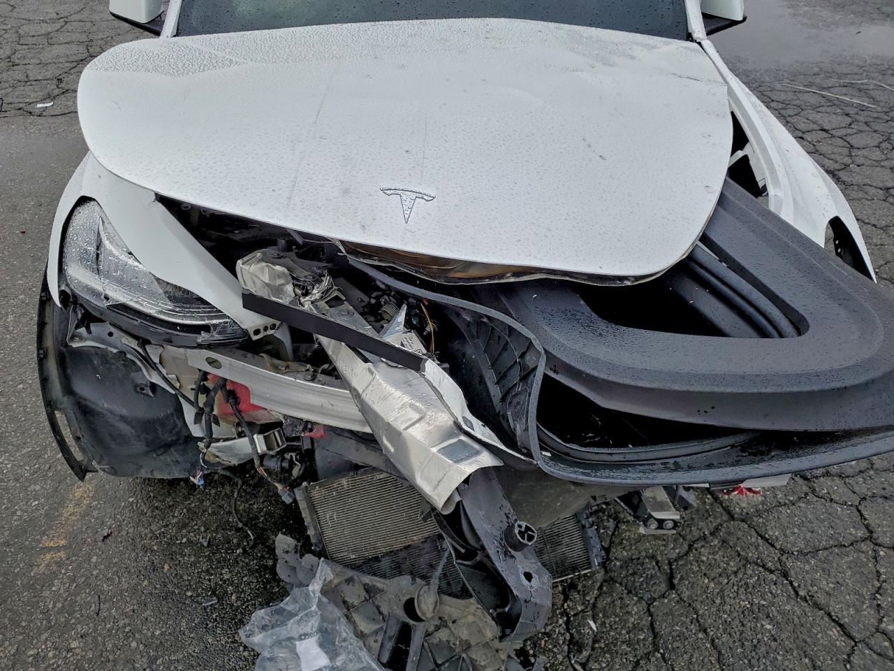 2022 Tesla Model Y VIN: 7SAYGDEE0NF411811 Lot: 93710145