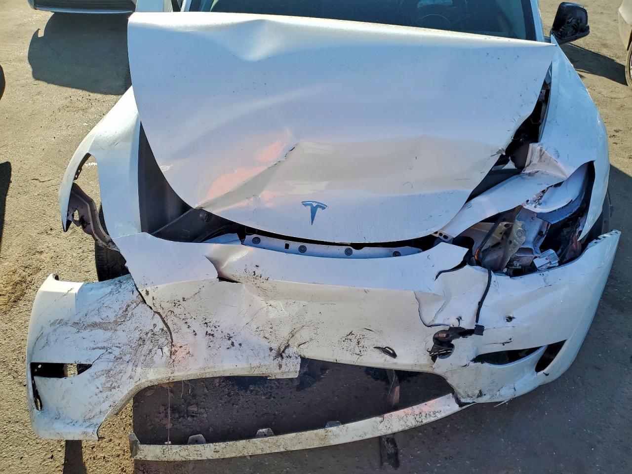 2025 Tesla Model Y VIN: 7SAYGDEFXSF299877 Lot: 94251095