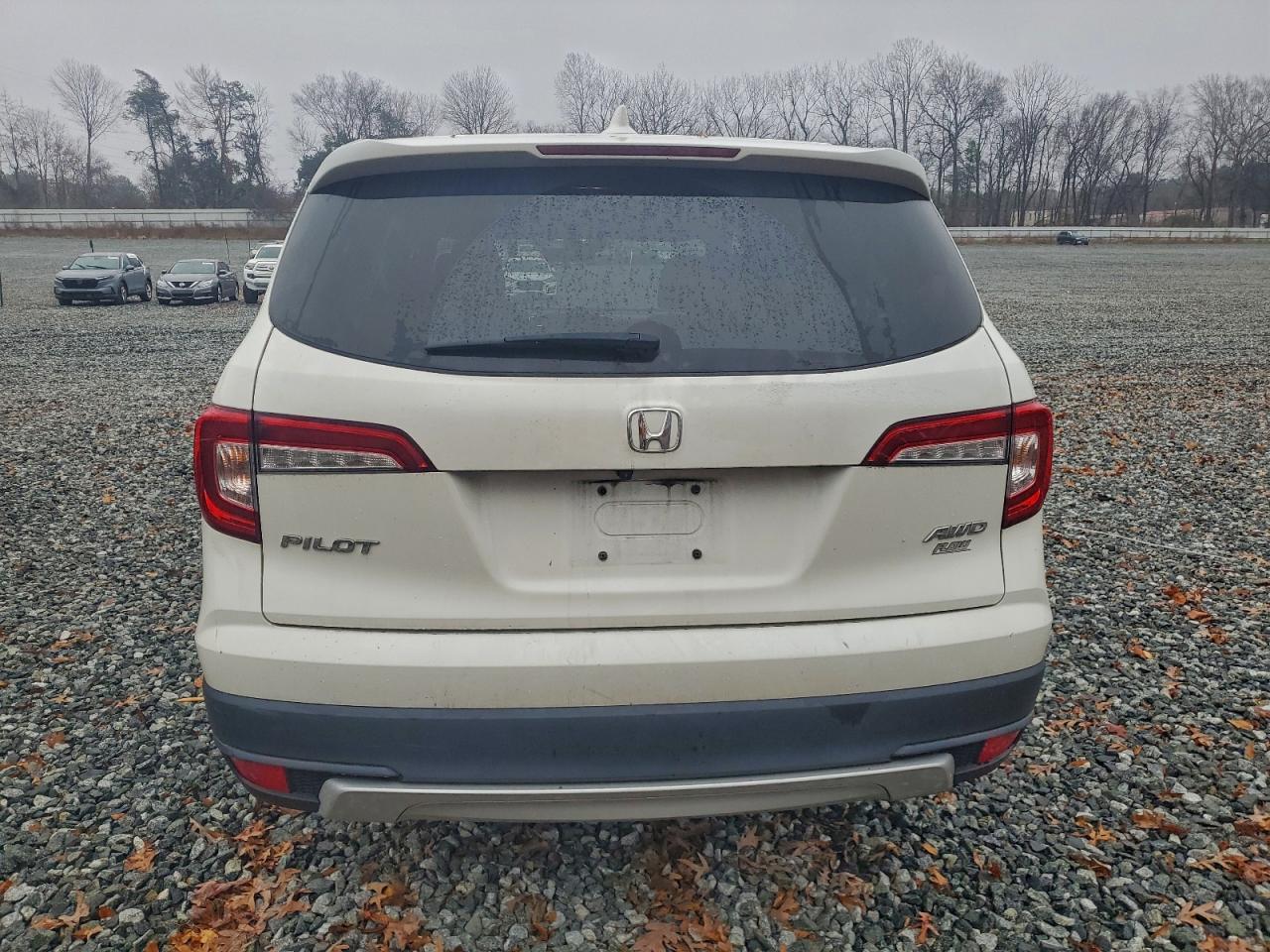 2019 Honda Pilot Exl VIN: 5FNYF6H52KB031789 Lot: 93647815