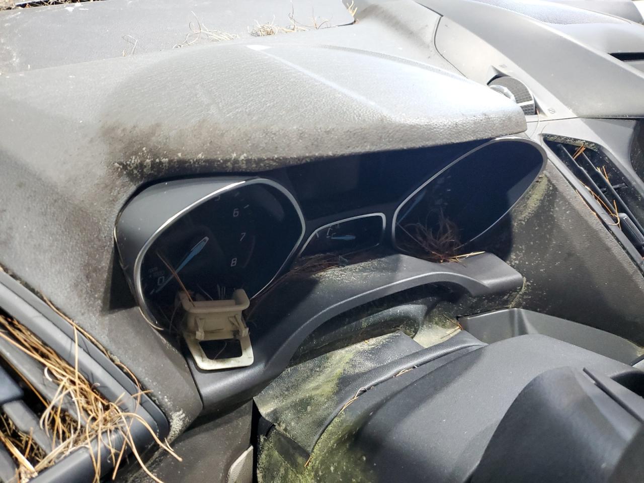 2014 Ford Escape Se VIN: 1FMCU0GX6EUA40437 Lot: 92160685