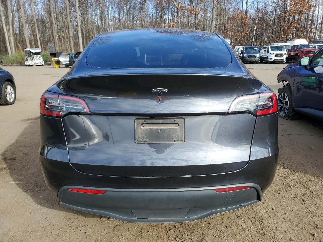 2024 Tesla Model Y VIN: 7SAYGDEDXRF119693 Lot: 92910605