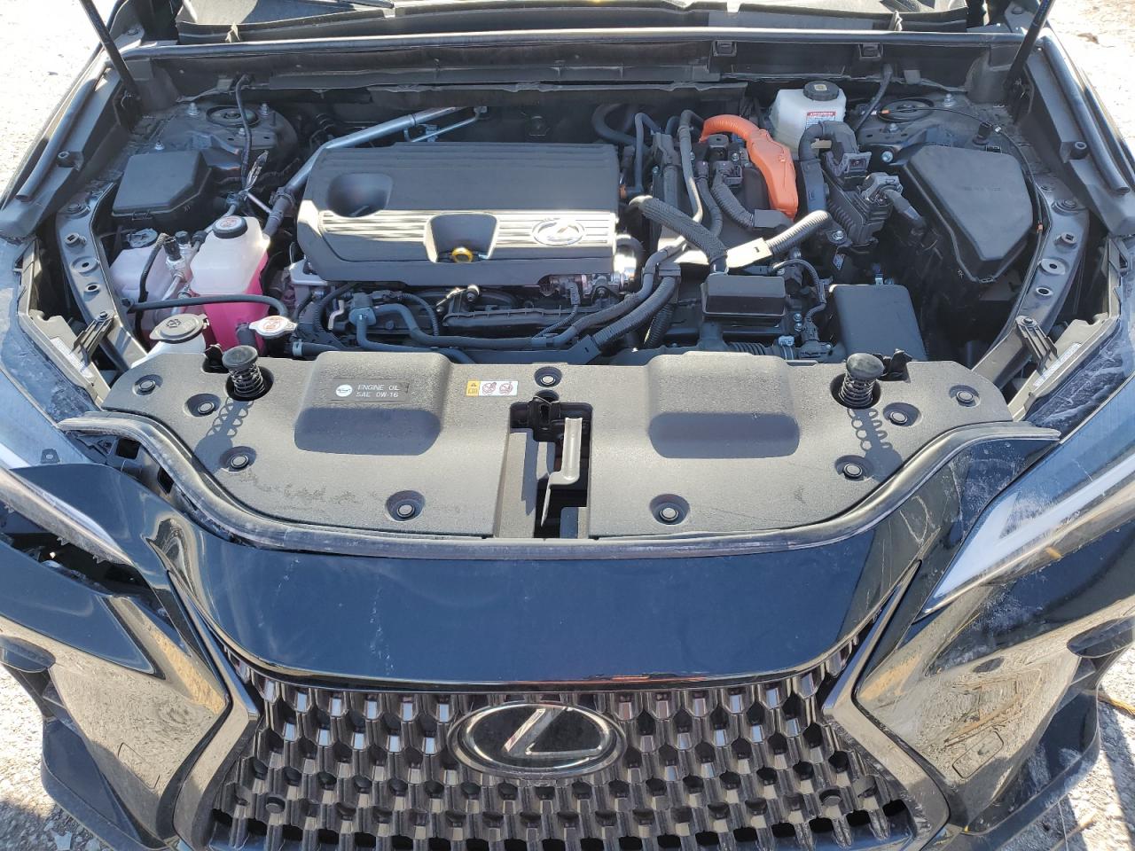 2025 Lexus Nx 350H Base VIN: JTJGKCEZ9S2046562 Lot: 93500135