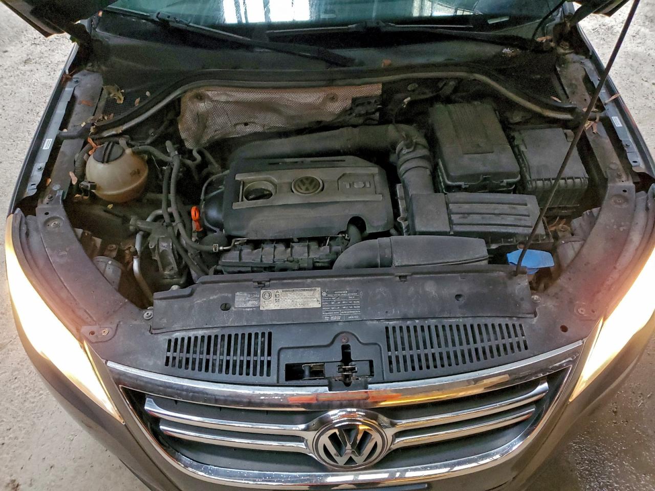 2009 Volkswagen Tiguan S VIN: WVGCV75N49W524351 Lot: 94040105