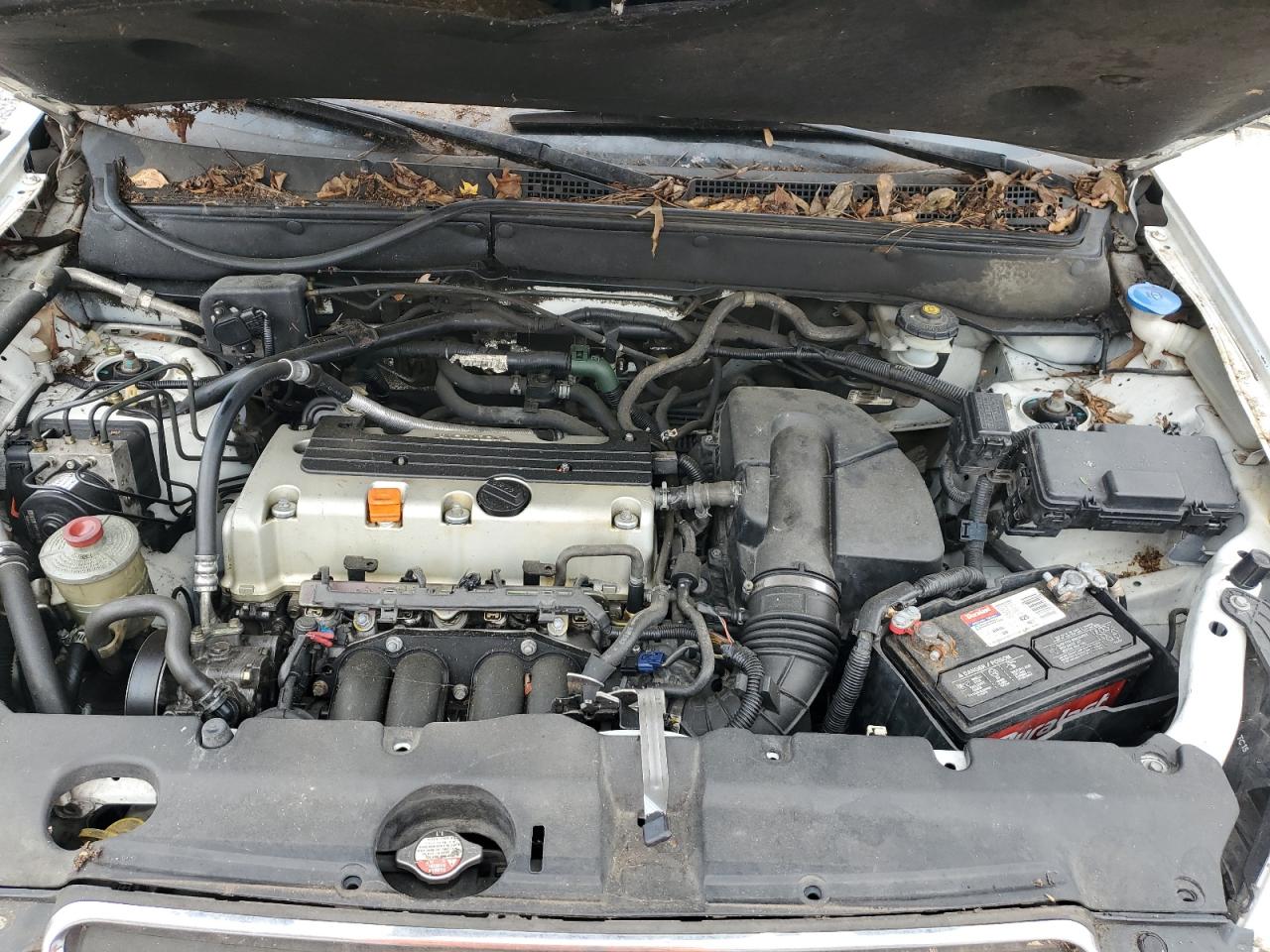 2005 Honda Cr-V Se VIN: SHSRD78925U319019 Lot: 92396295