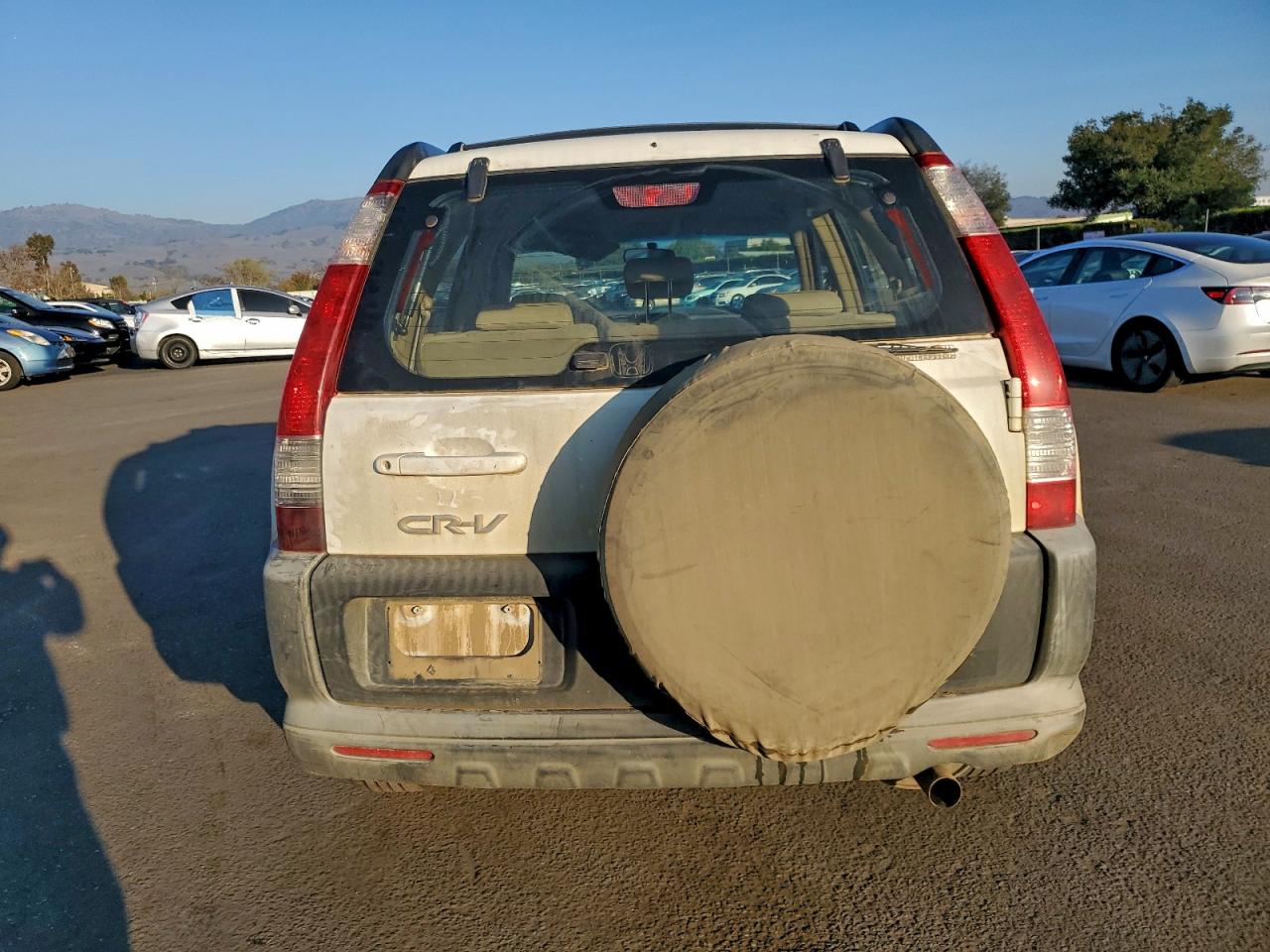 2005 Honda Cr-V Lx VIN: JHLRD68565C005033 Lot: 94061655