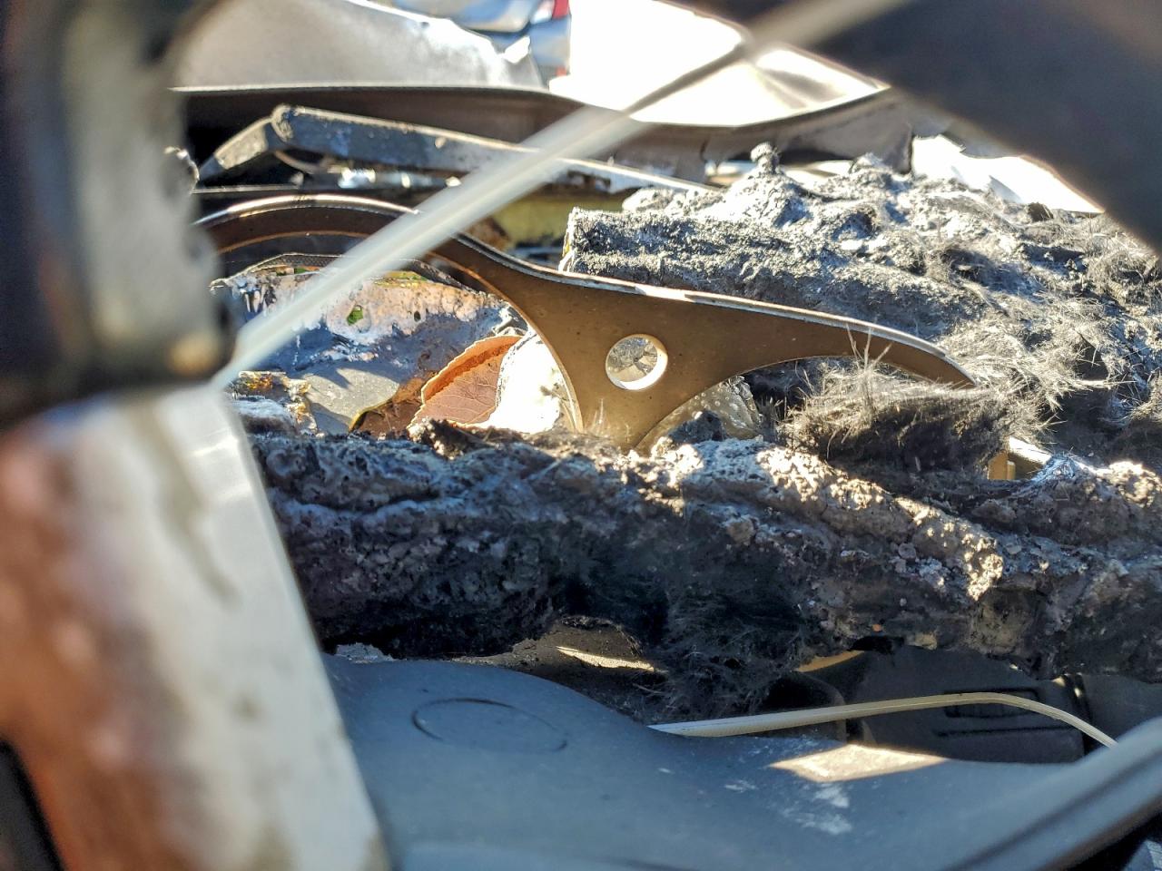 2005 Nissan 350Z Roadster VIN: JN1AZ36A05M755292 Lot: 93502005