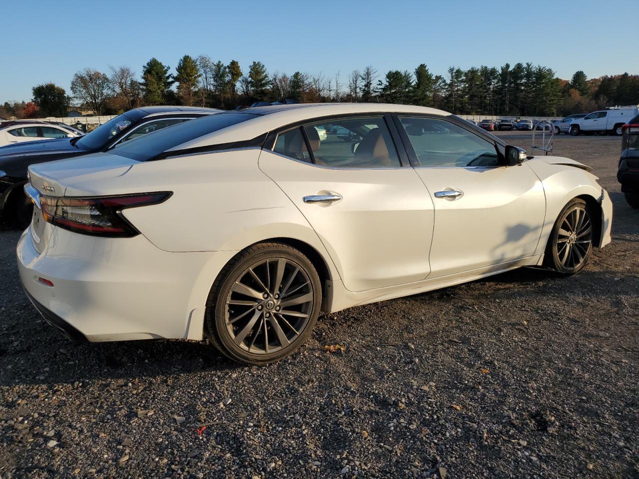 2019 Nissan Maxima S VIN: 1N4AA6AV7KC369024 Lot: 91062685