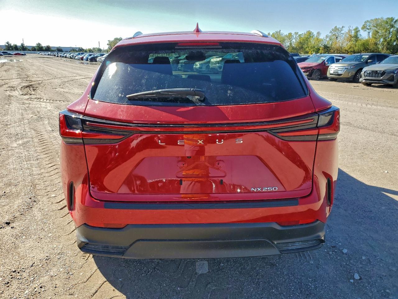 2024 Lexus Nx 250 Base VIN: 2T2ADCAZ0RC007052 Lot: 94107975