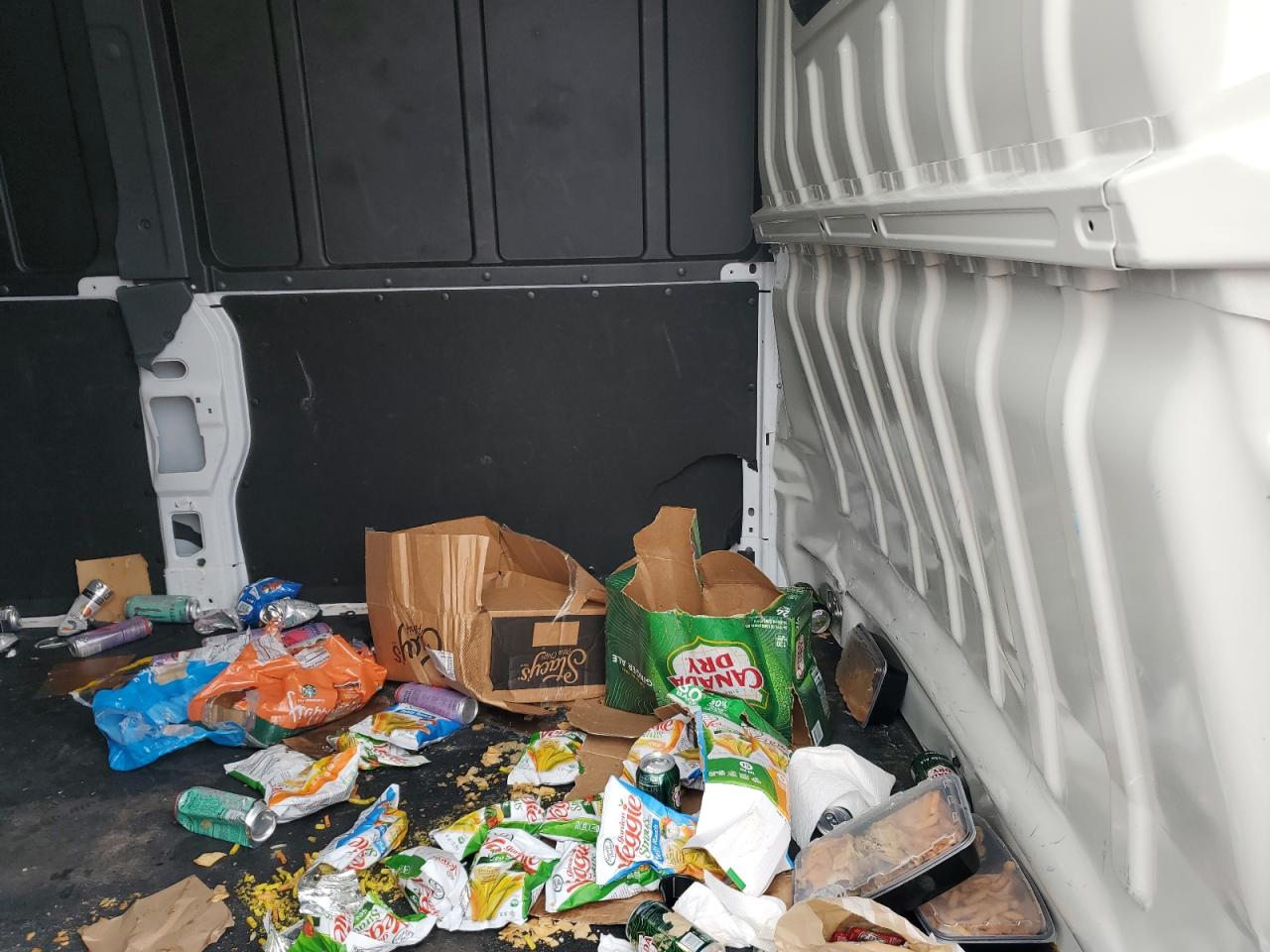 2025 Ram Promaster2500 Delivery Van VIN: 3C6LRVDGQSE532400 Lot: 92002385