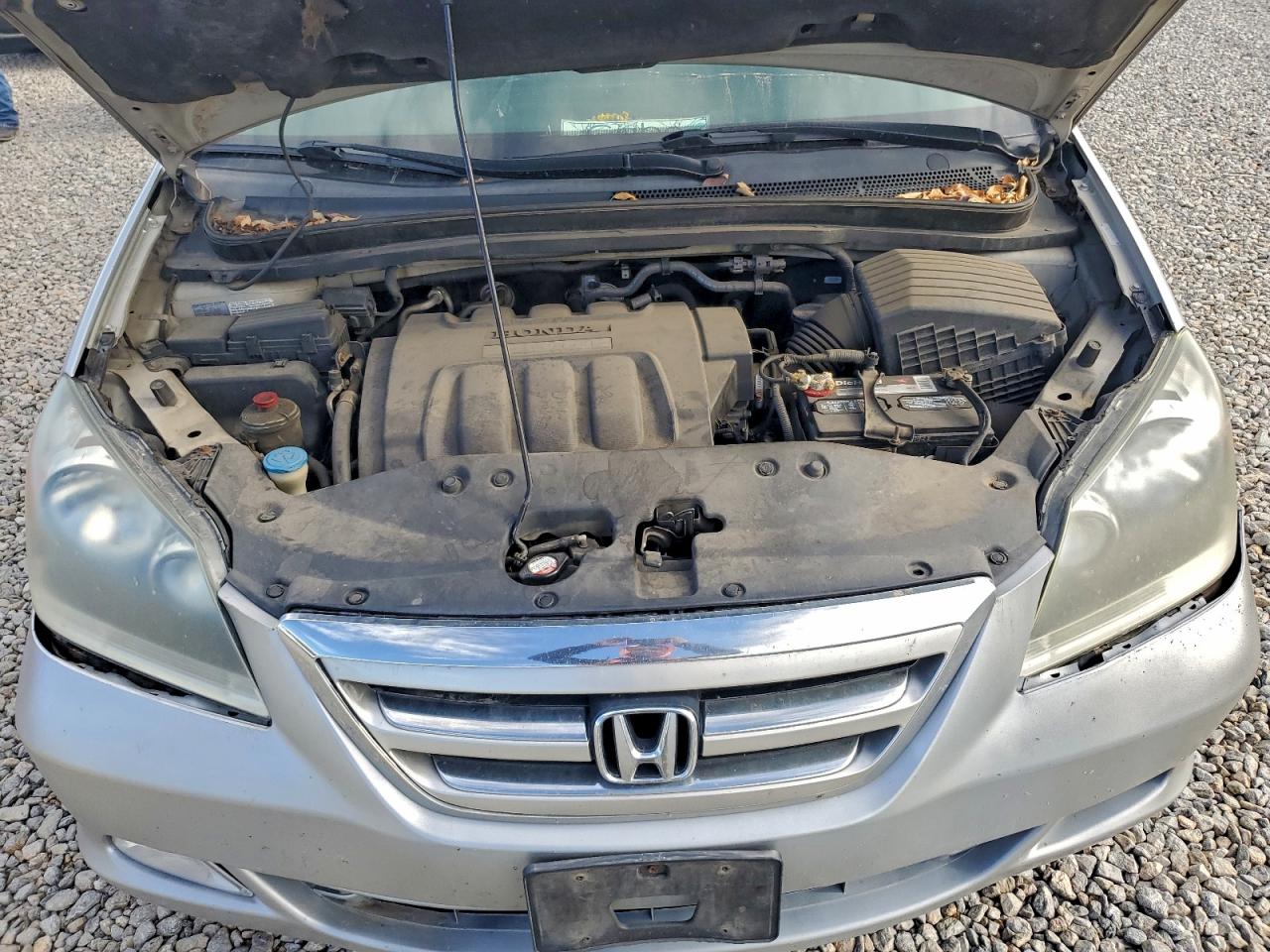 2006 Honda Odyssey Touring VIN: 5FNRL38816B104808 Lot: 93982525