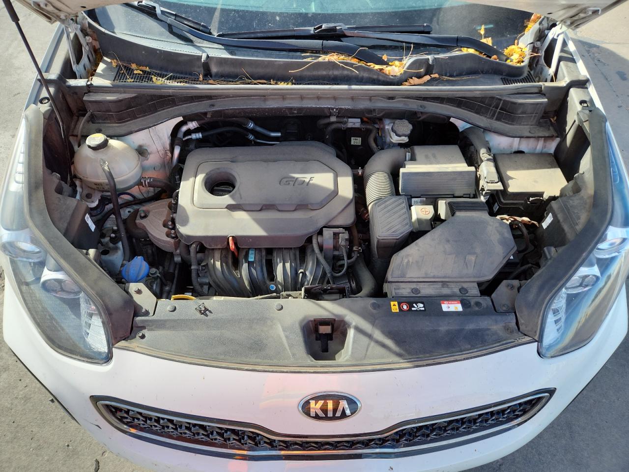 2019 Kia Sportage Lx VIN: KNDPMCAC6K7591586 Lot: 91685495