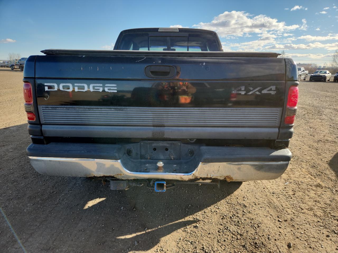 1998 Dodge Ram 1500 VIN: 1B7HF13Z8WJ250767 Lot: 90122285