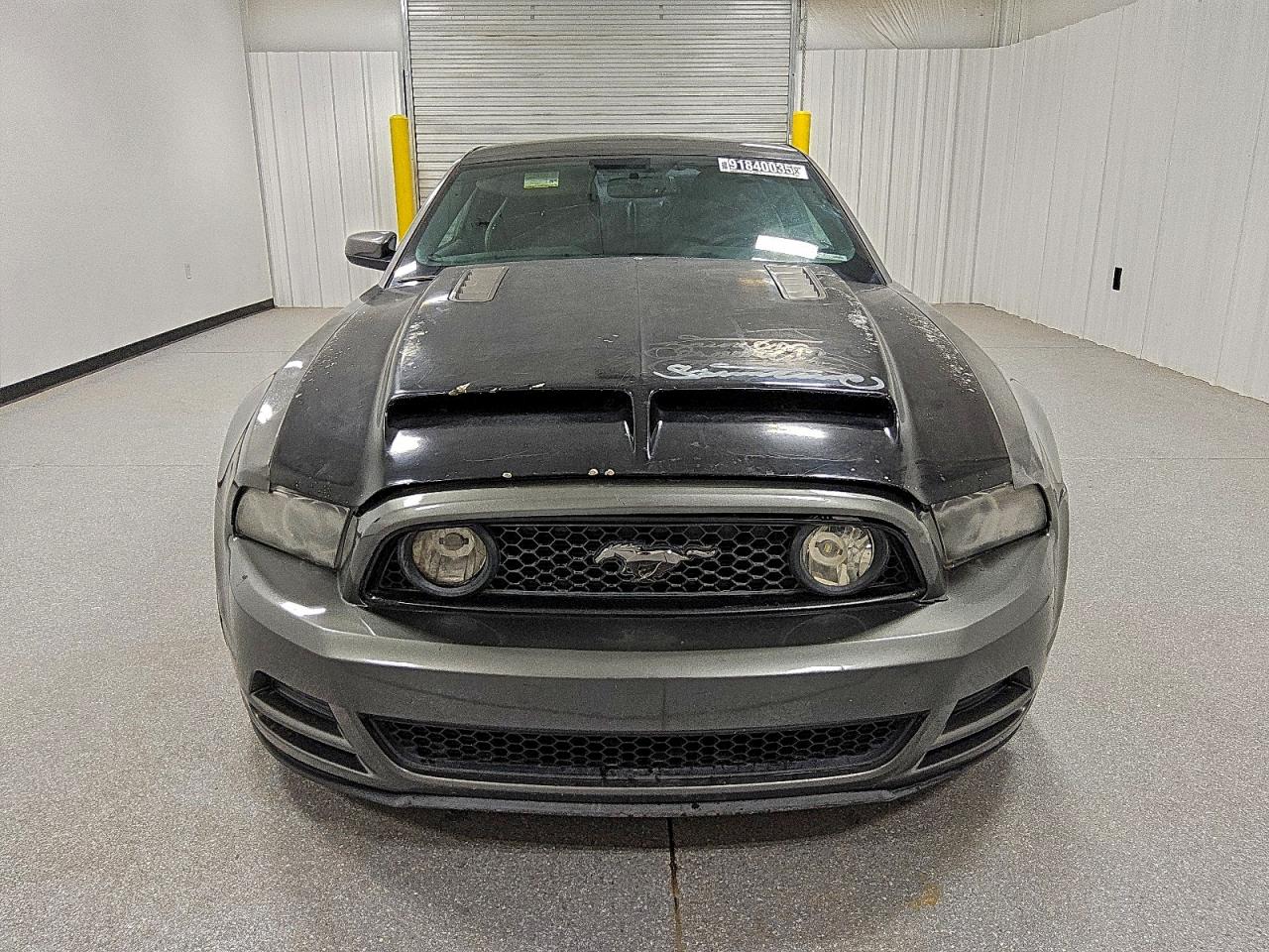 2013 Ford Mustang Gt VIN: 1ZVBP8CF3D5260045 Lot: 91840035