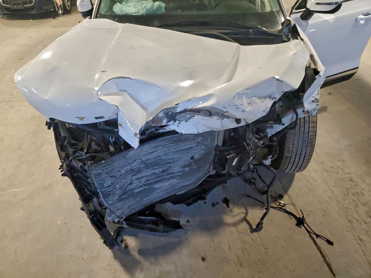 2021 Kia Telluride Ex VIN: 5XYP3DHC7MG131003 Lot: 94530825