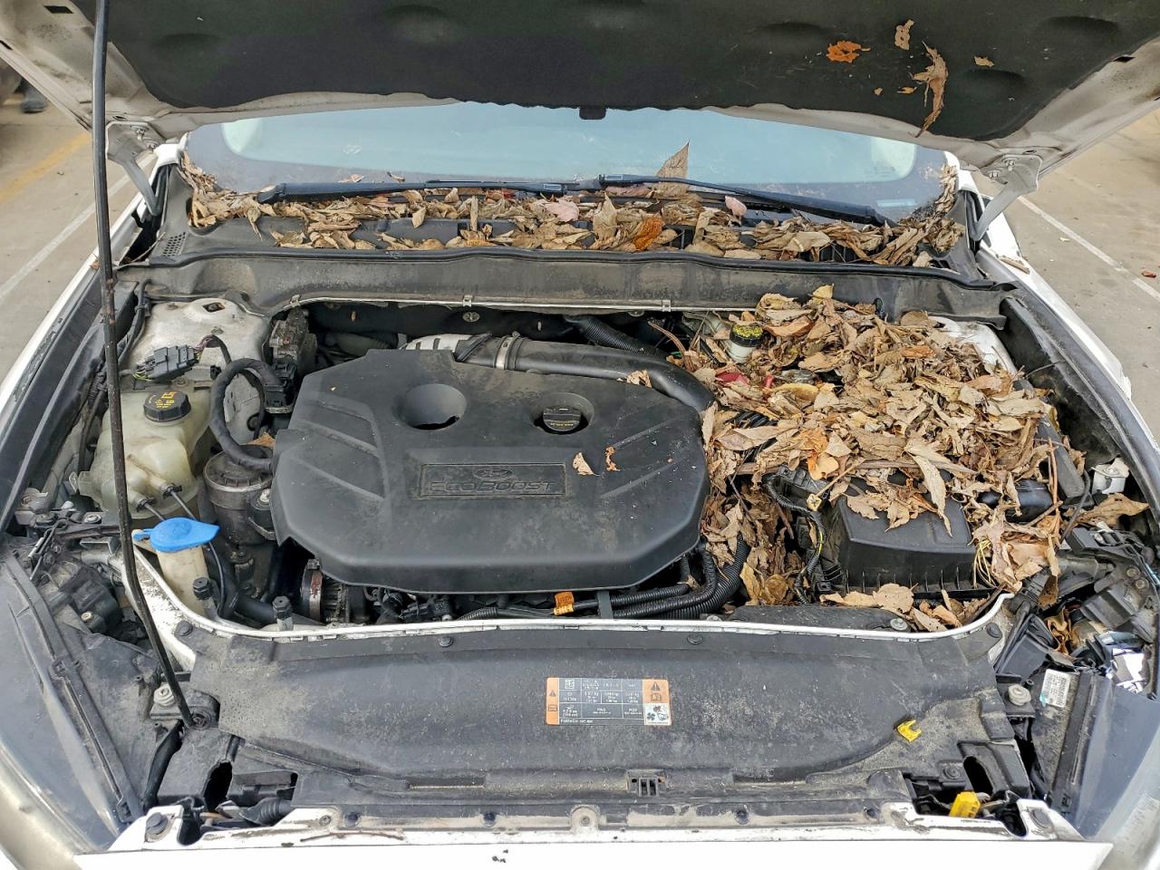 2013 Ford Fusion Titanium VIN: 3FA6P0K97DR299841 Lot: 93970905