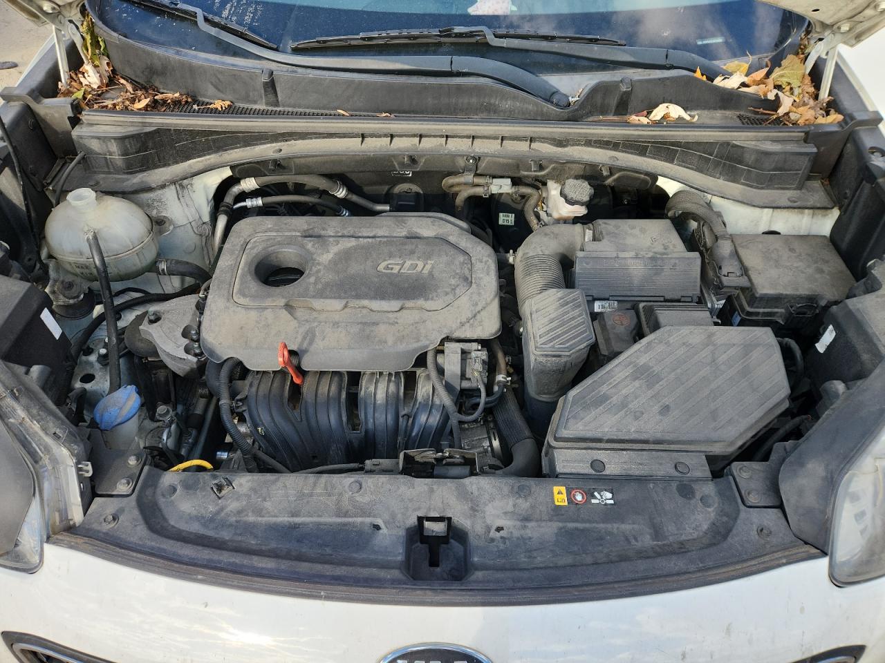 2019 Kia Sportage Lx VIN: KNDPM3AC3K7553801 Lot: 93181595