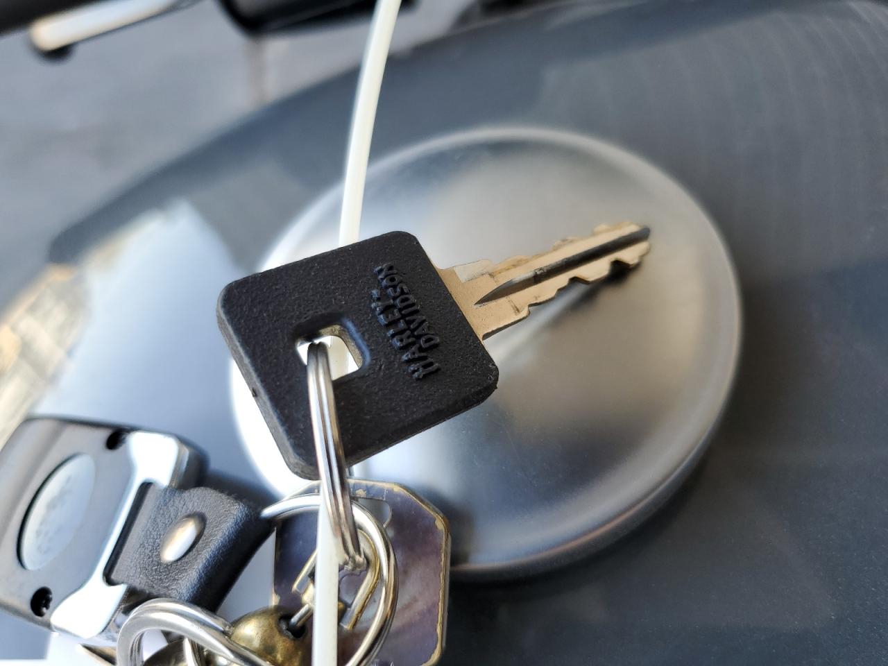 2022 Harley-Davidson Xl883 N VIN: 1HD4LE214NB412525 Lot: 91944485