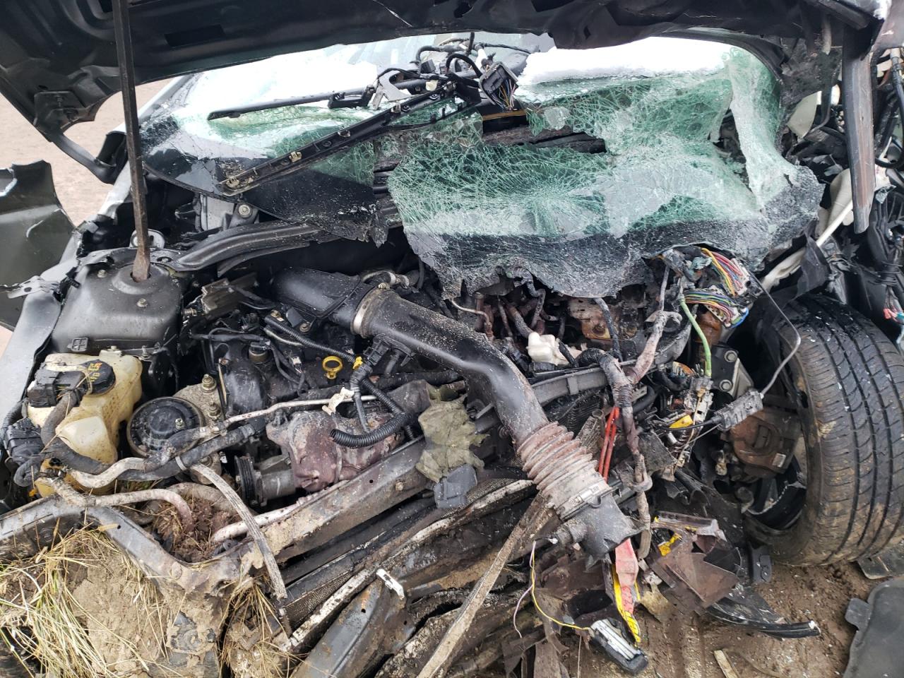 2019 Ford Fusion Titanium VIN: 3FA6P0D91KR186767 Lot: 92086725