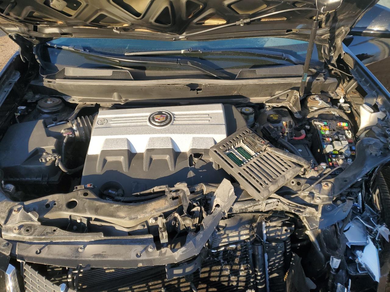 2010 Cadillac Srx Premium Collection VIN: 3GYFNFEY4AS590396 Lot: 92383825