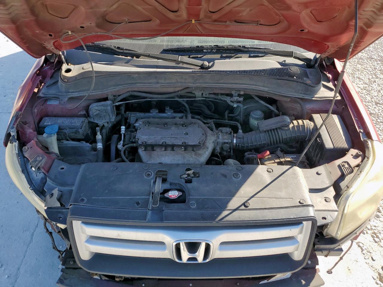 2006 Honda Pilot Ex VIN: 5FNYF28536B019682 Lot: 92078855