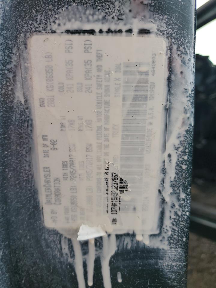 2002 Dodge Ram 1500 VIN: 1D7HA16N32J237867 Lot: 93746185