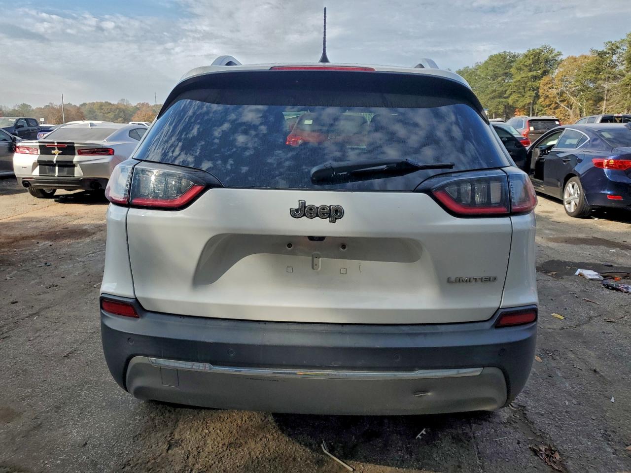 2020 Jeep Cherokee Limited VIN: 1C4PJLDB1LD542519 Lot: 92932825