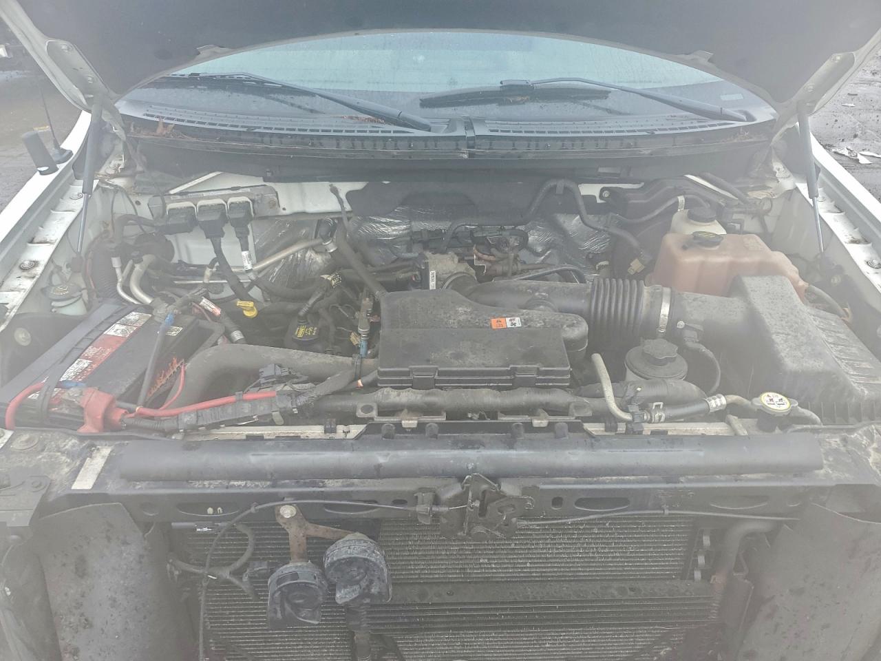 2010 Ford F150 VIN: 1FTMF1EW2AKC10883 Lot: 94453865