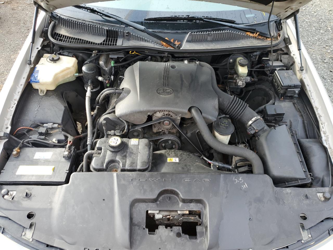 2001 Lincoln Town Car Signature VIN: 1LNHM82W31Y729695 Lot: 90864415