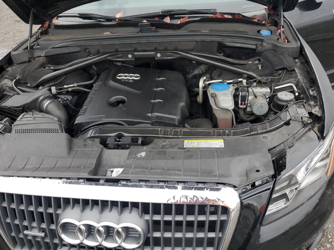 2012 Audi Q5 Premium Plus VIN: WA1LFAFP2CA113043 Lot: 91319215