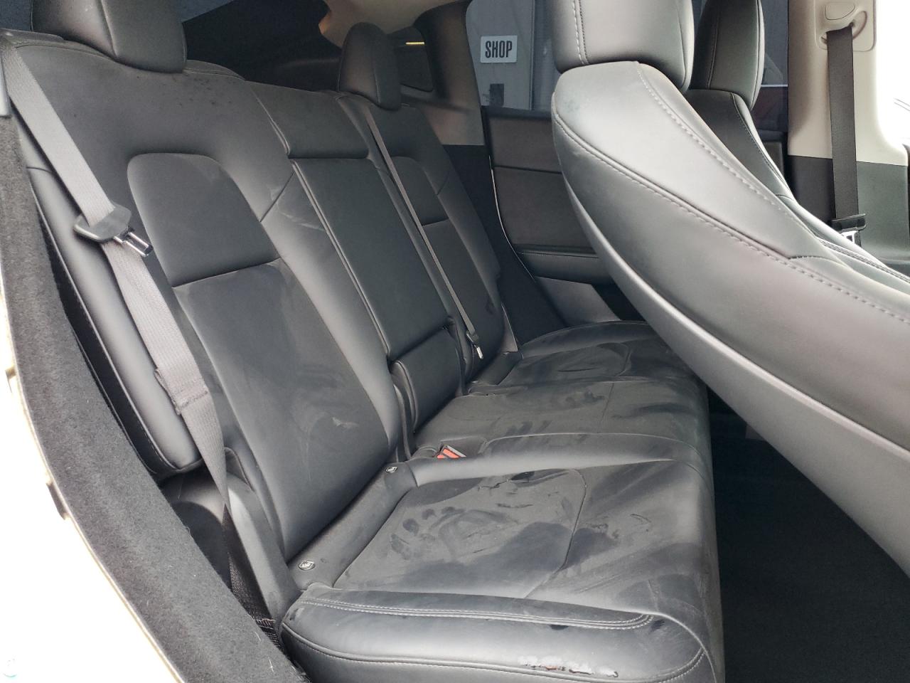 2023 Tesla Model Y VIN: 7SAYGDEF3PF815696 Lot: 91650135