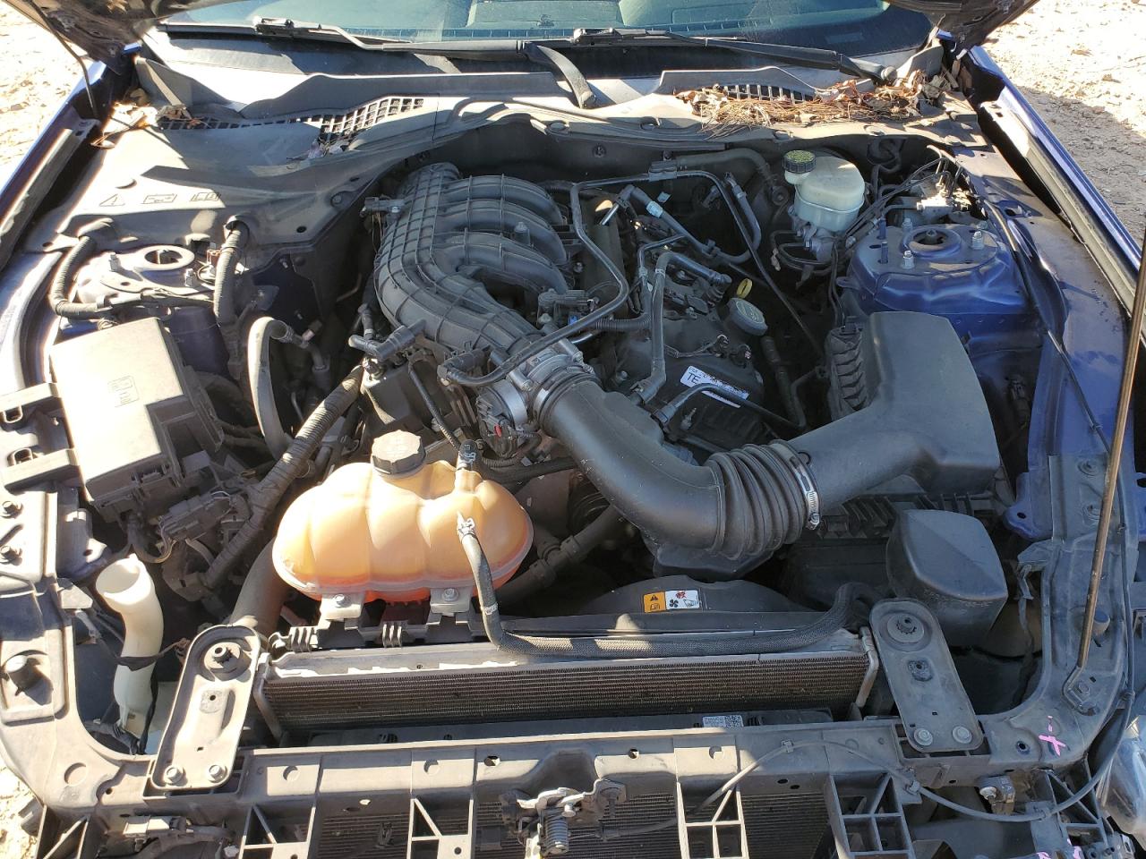 2015 Ford Mustang VIN: 1FA6P8AM5F5392089 Lot: 90977715