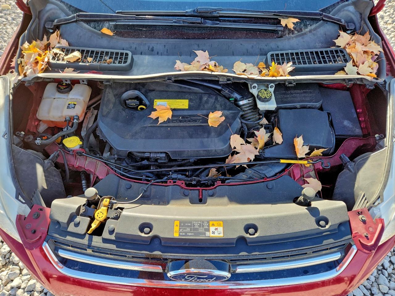 2013 Ford Escape Sel VIN: 1FMCU9HX7DUA92984 Lot: 92803505