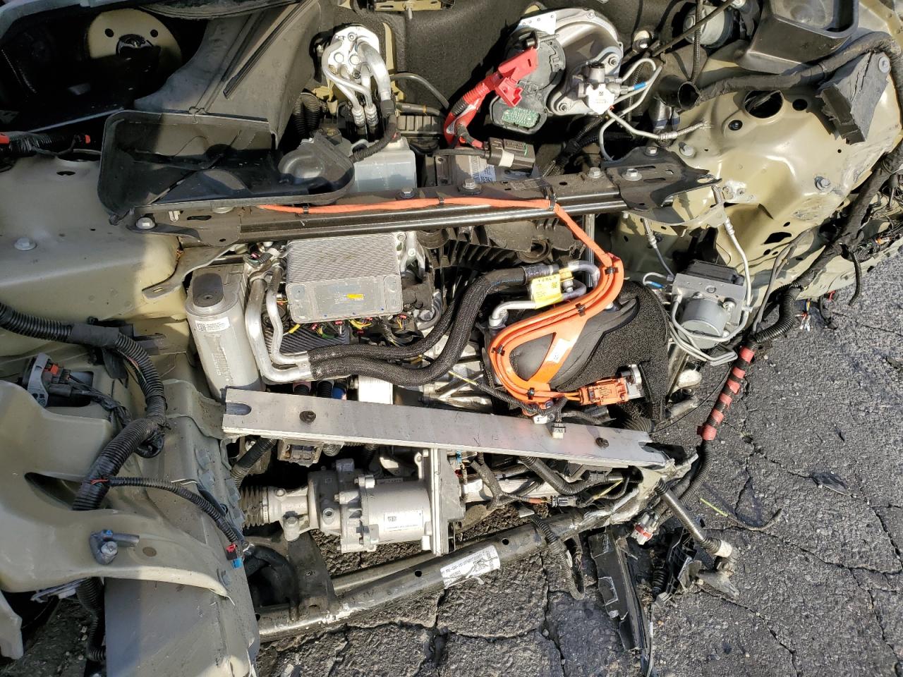 2023 Tesla Model Y VIN: 7SAYGDEFXPF813749 Lot: 92217245