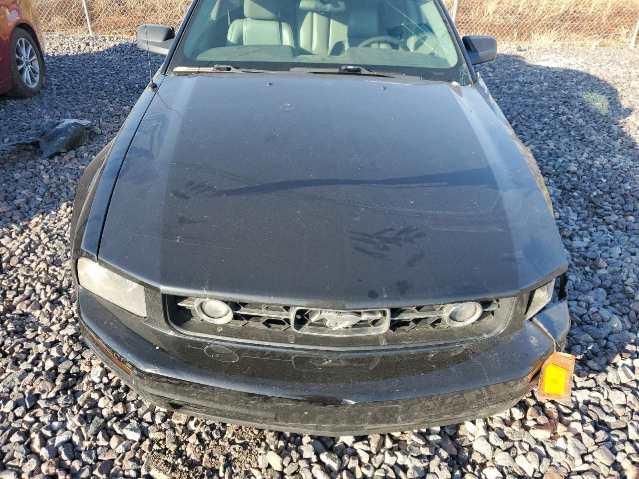 2006 Ford Mustang VIN: 1ZVFT80N565126634 Lot: 92504445