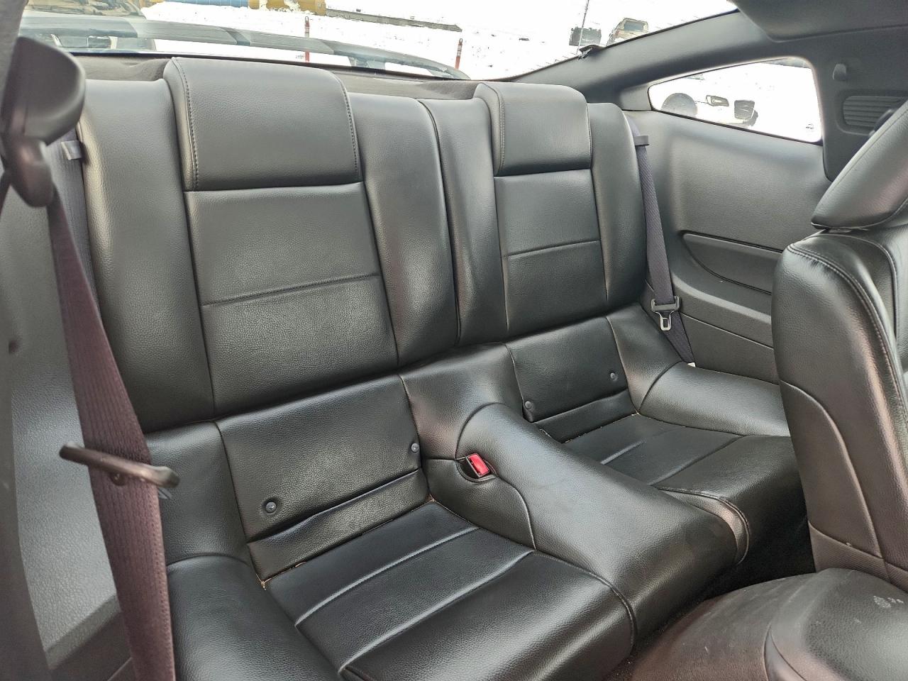 2006 Ford Mustang VIN: 1ZVFT80N765160252 Lot: 94958315