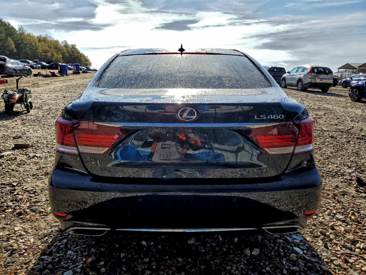 2013 Lexus Ls 460 VIN: JTHBL5EF1D5115062 Lot: 93500045