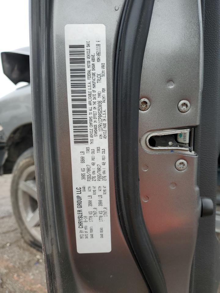 2010 Dodge Ram 1500 VIN: 1D7RV1CP8AS253036 Lot: 93695475