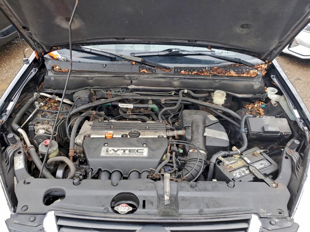 2003 Honda Cr-V Ex VIN: SHSRD78803U117445 Lot: 93684595