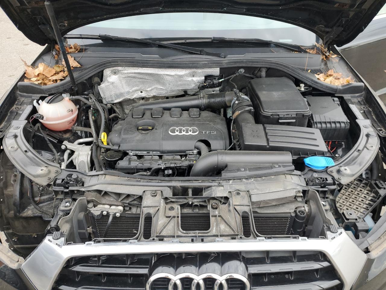 2017 Audi Q3 Premium Plus VIN: WA1JCCFS1HR006445 Lot: 92279365