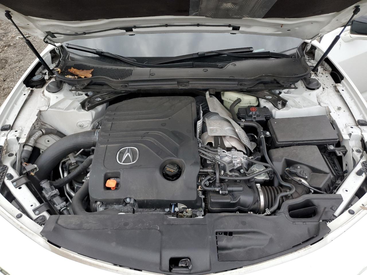 2023 Acura Tlx Type S VIN: 19UUB7F96PA003677 Lot: 90622195