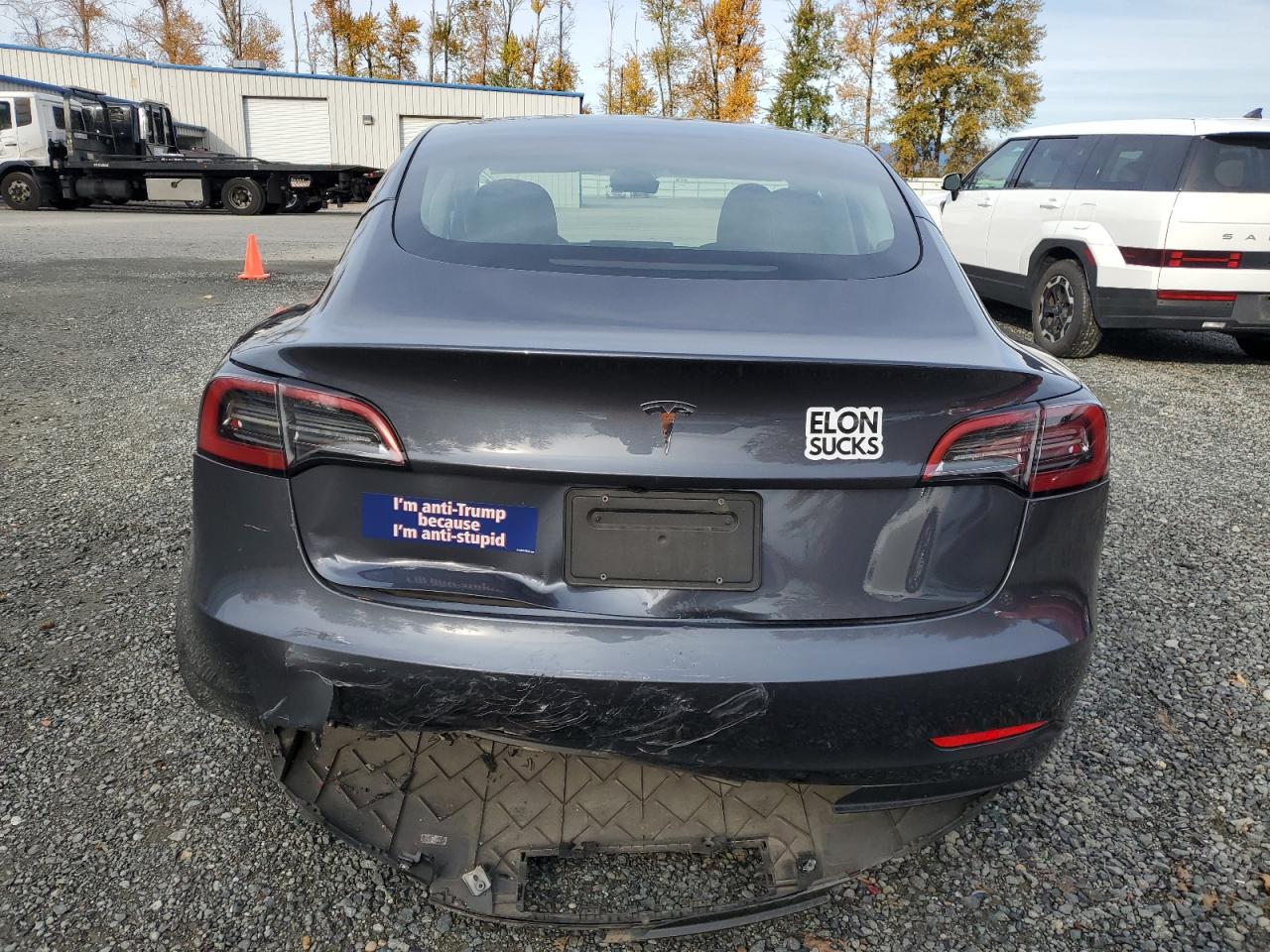 2023 Tesla Model 3 VIN: 5YJ3E1EA9PF697220 Lot: 91442745