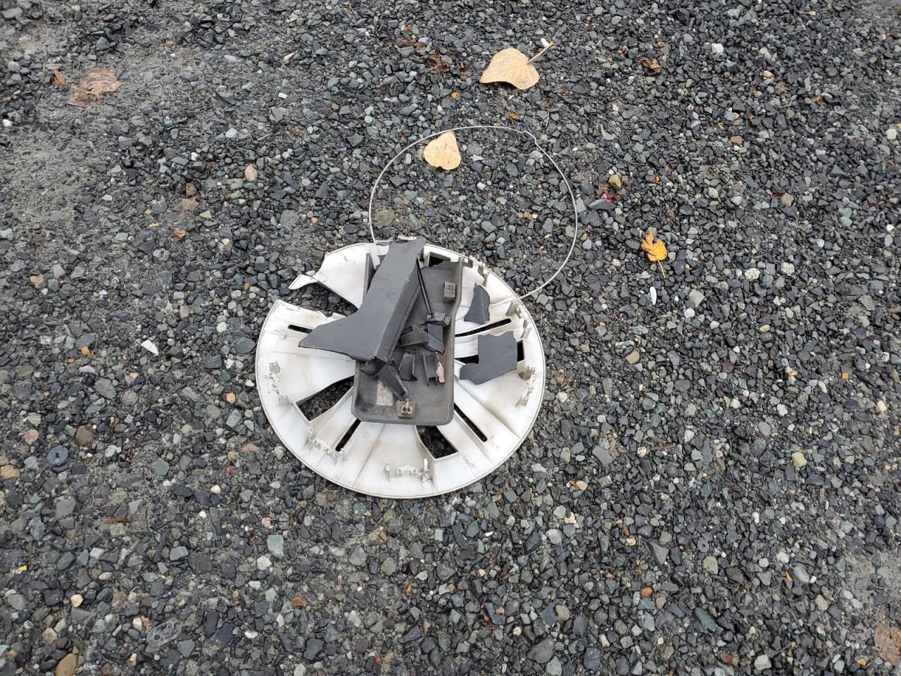 2019 Nissan Leaf S VIN: 1N4AZ1CP7KC303017 Lot: 92116975