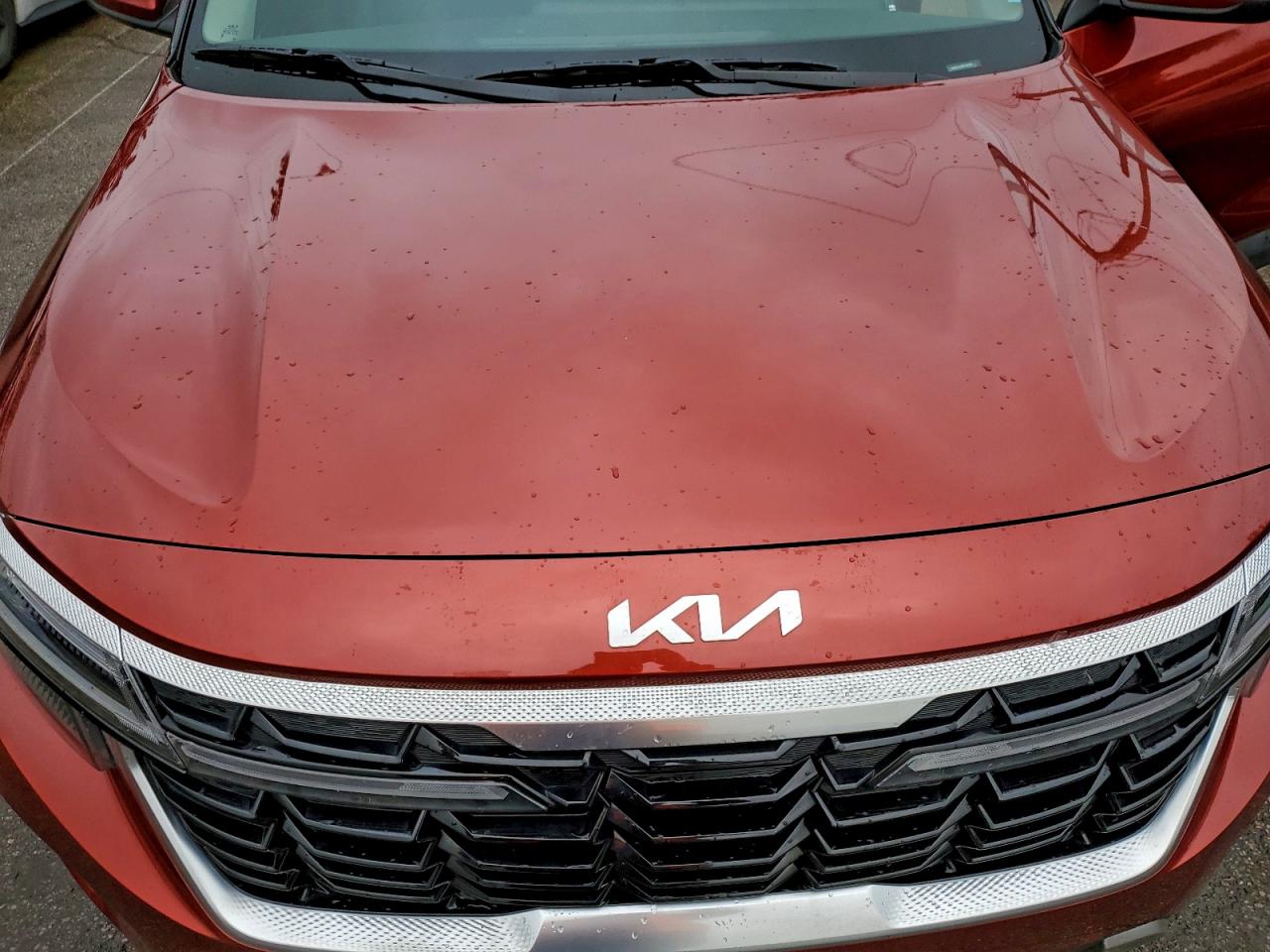 2024 Kia Seltos S VIN: KNDEUCAA9R7580484 Lot: 94247955