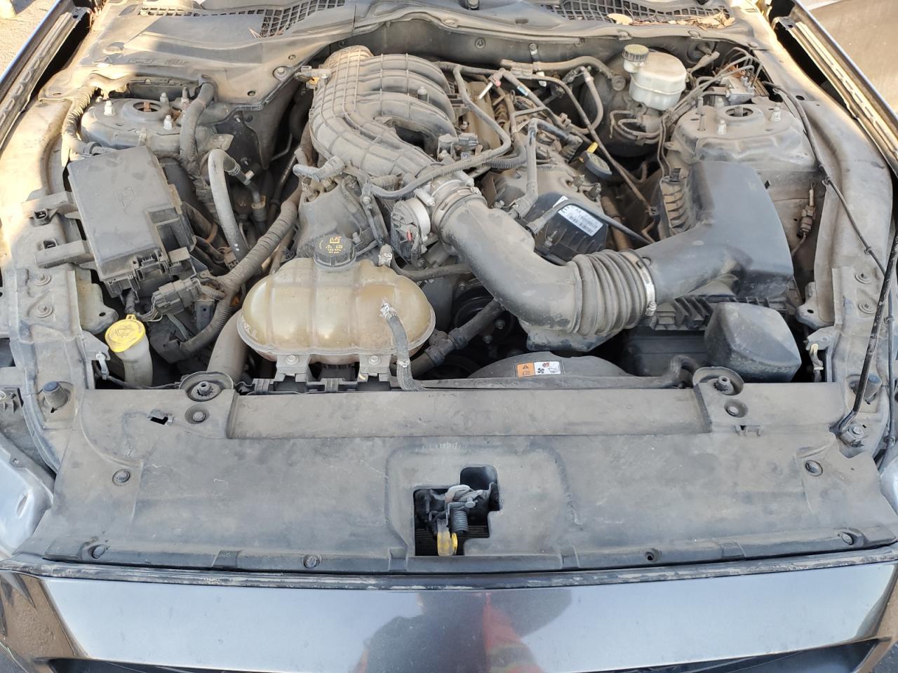 2015 Ford Mustang VIN: 1FA6P8AM9F5323163 Lot: 90539845