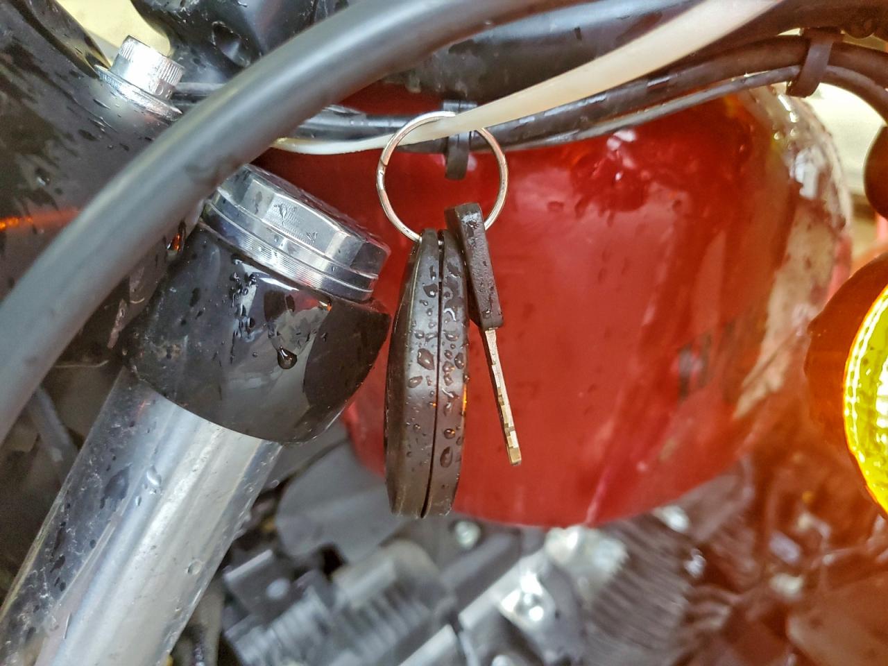 2018 Harley-Davidson Xl883 Iron 883 VIN: 1HD4LE211JC410512 Lot: 94053385